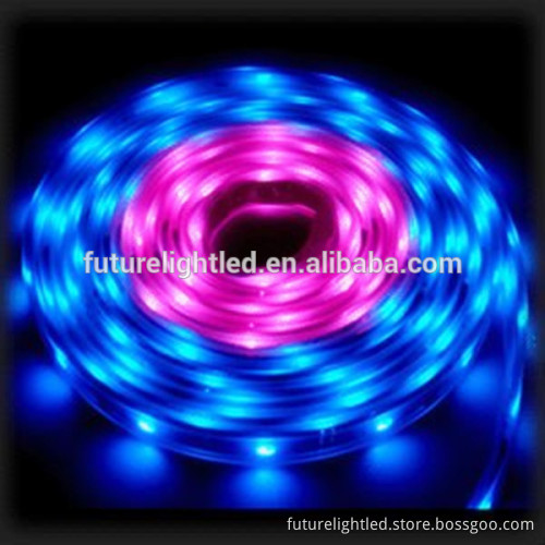 IP65 flexible 5050 RGB Christmas lighting led strip light